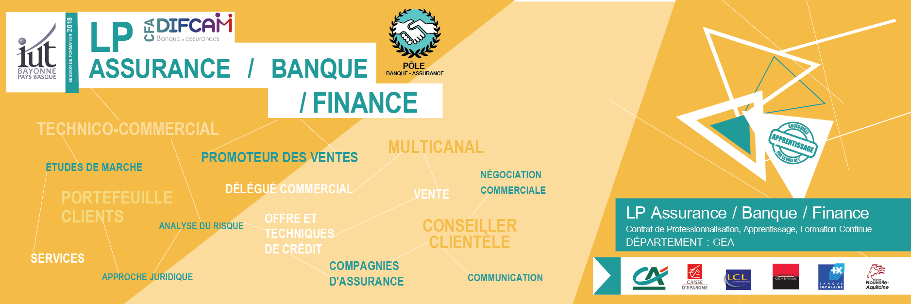 gea-lp-assurance-banque-finance-iut_bayonne-pays_basque