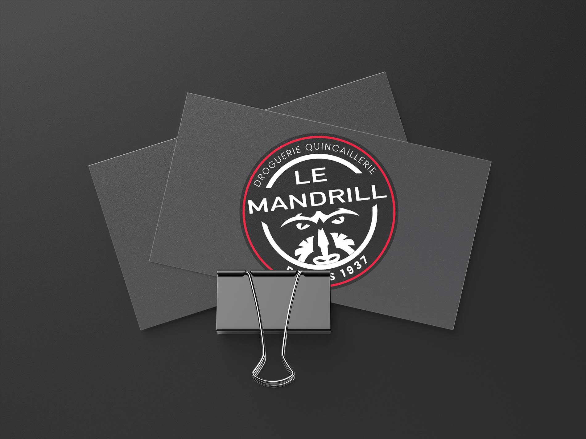 logo-SocieteLeMandrill-lemandrill-70- boulevardAlsaceLorraine-bayonne-commercedeproximite-drogueries-quincaillerie