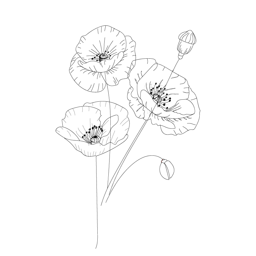 dessin fleur
