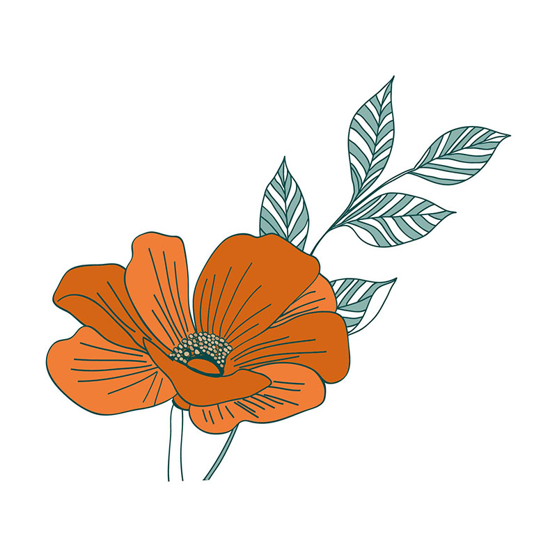 dessin fleur orange