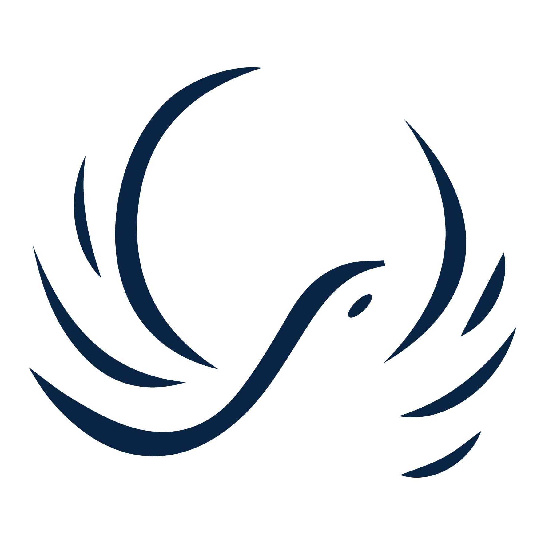 MOTIF LOGO-PF PETRAU-SKONCOMMUNICATION- BLEU - HD